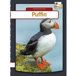 Puffin