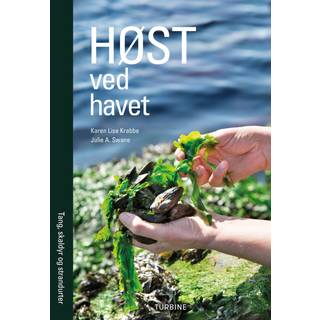 Høst ved havet
