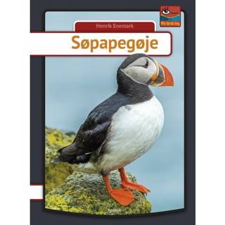Søpapegøje