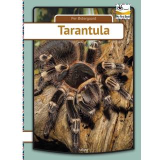 Tarantula