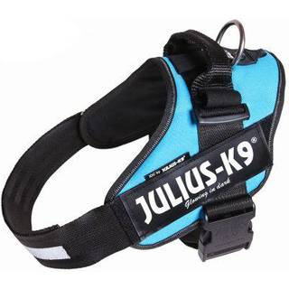 Julius-K9 IDC-harness size 0 Aquamarine