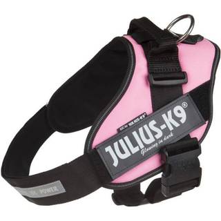 Julius-K9 IDC Sele Rosa - Baby 1