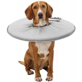 Trixie Protective collar polyester/foam XL: 60-64 cm/29 cm grey