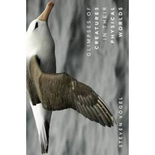 Glimpses of Creatures in Their Physical Worlds