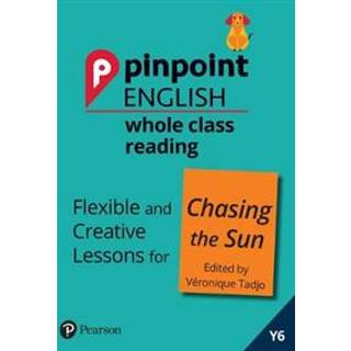 Pinpoint English Whole Class Reading Y6: Chasing the Sun - Stories from Africa