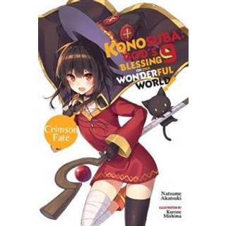 Konosuba: God's Blessing on This Wonderful World!, Vol. 9 (light novel)