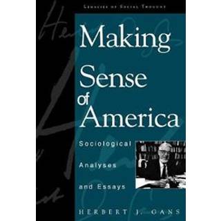 Making Sense of America