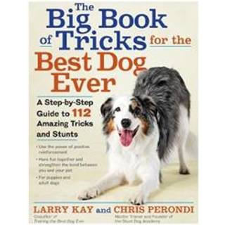 The Big Book of Tricks for the Best Dog Ever