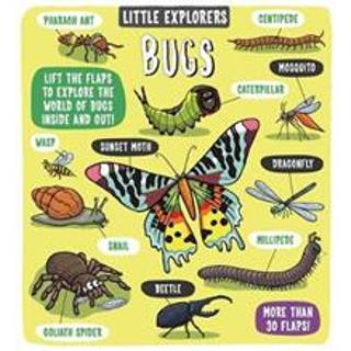 Little Explorers: Bugs