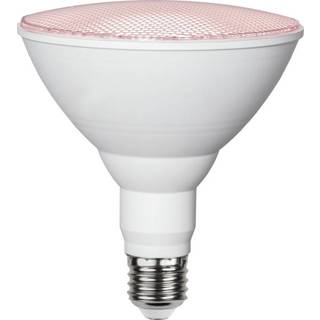 Star Trading - LED LAMP E27 PAR38 PLANT LYS - 16.0W