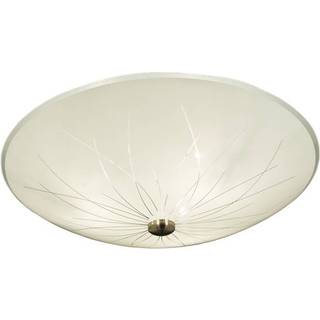Aneta Nerine plafond