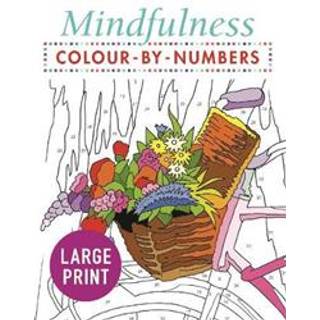Mindfulness Colour-by-Numbers Large Print