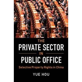 The Private Sector in Public Office