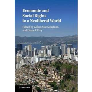 Economic and Social Rights in a Neoliberal World