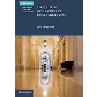 Judicial Acts and Investment Treaty Arbitration