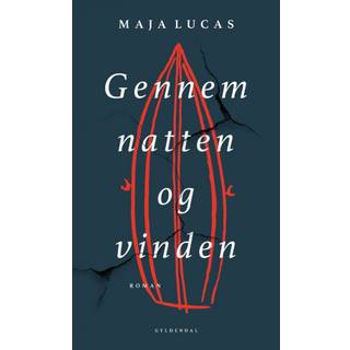 Gennem natten og vinden