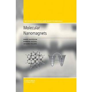 Molecular Nanomagnets