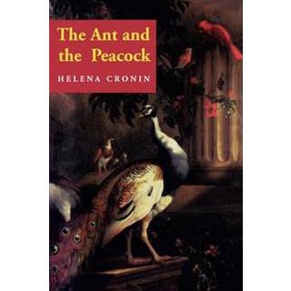 The Ant and the Peacock