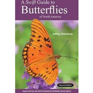A Swift Guide to Butterflies of North America