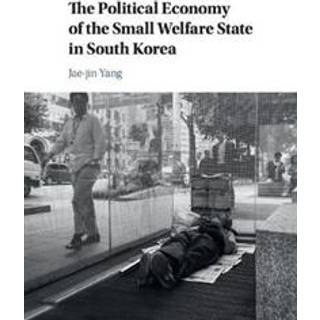 The Political Economy of the Small Welfare State in South Korea