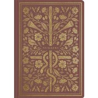 ESV Illuminated Scripture Journal