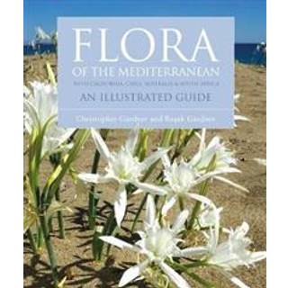 Flora of the Mediterranean