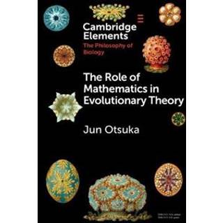 The Role of Mathematics in Evolutionary Theory