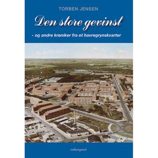 Den store gevinst – og andre krøniker fra et havregrynskvarter