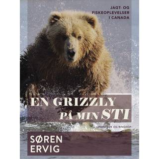 En grizzly på min sti