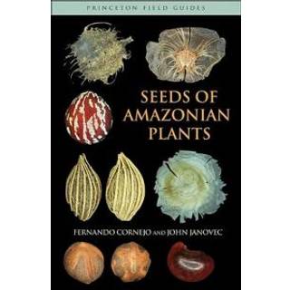 Seeds of Amazonian Plants