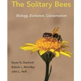 The Solitary Bees