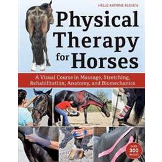 Physical Therapy for Horses