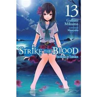 Strike the Blood, Vol. 13 (light novel)