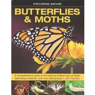 Exploring Nature: Butterflies & Moths