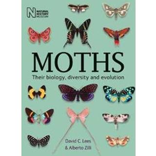 Moths