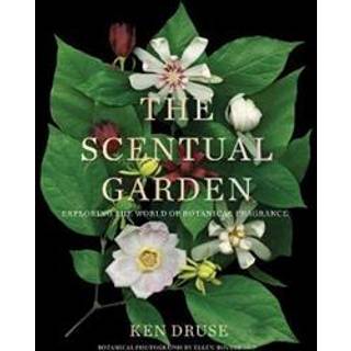 The Scentual Garden: Exploring the World of Botanical Fragrance