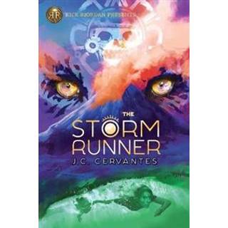 The Storm Runner