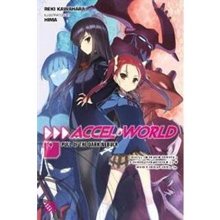 Accel World, Vol. 19 (light novel)