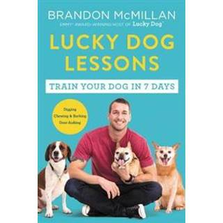 Lucky Dog Lessons