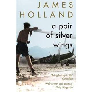 A Pair of Silver Wings