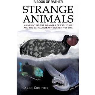 A Book of Rather Strange Animals