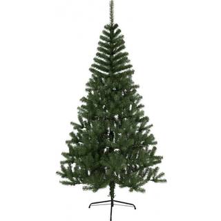 Star Trading - Kanada 210cm - Juletræ