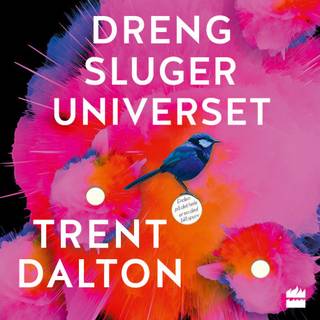 Dreng sluger universet