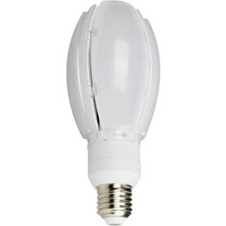 NASC NASC LED Oval Gårdslampe 30W E27 4000K 7391316570909