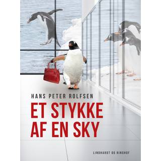 Et stykke af en sky