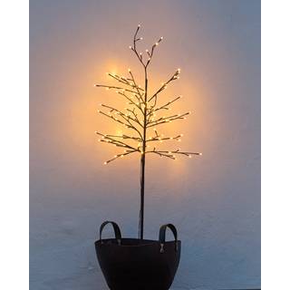 Sirius Noah lystræ med 160 LED H1,5 meter