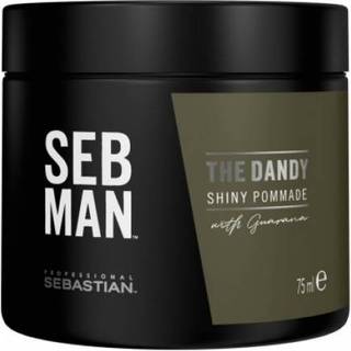 Sebastian Professional SEB MAN The Dandy Hårpomade For naturlig fiksering 75 ml - 75 ml