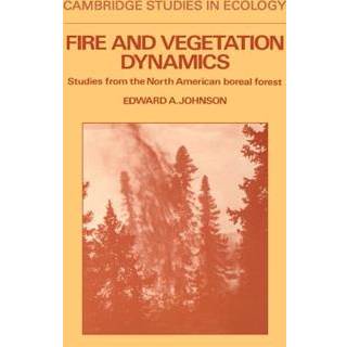 Fire and Vegetation Dynamics