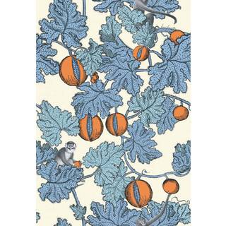 Frutto Proibito - Cerulean & Orange