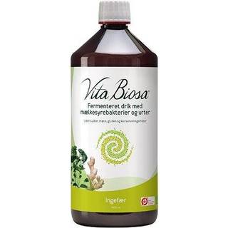 Vita Biosa Ingefær Økologisk - 1 liter